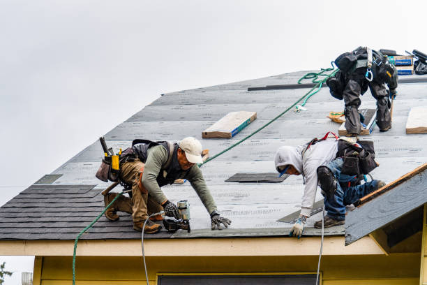 Professional Roofing technician working in Puyallup, WA